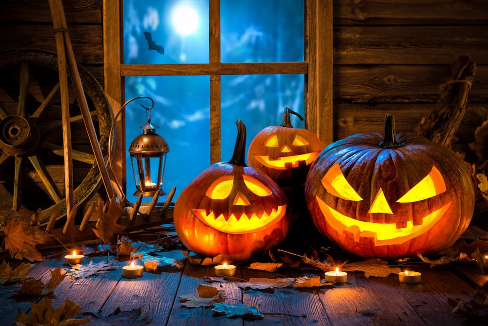 Welcher Freizeitpark ist an Halloween am besten?