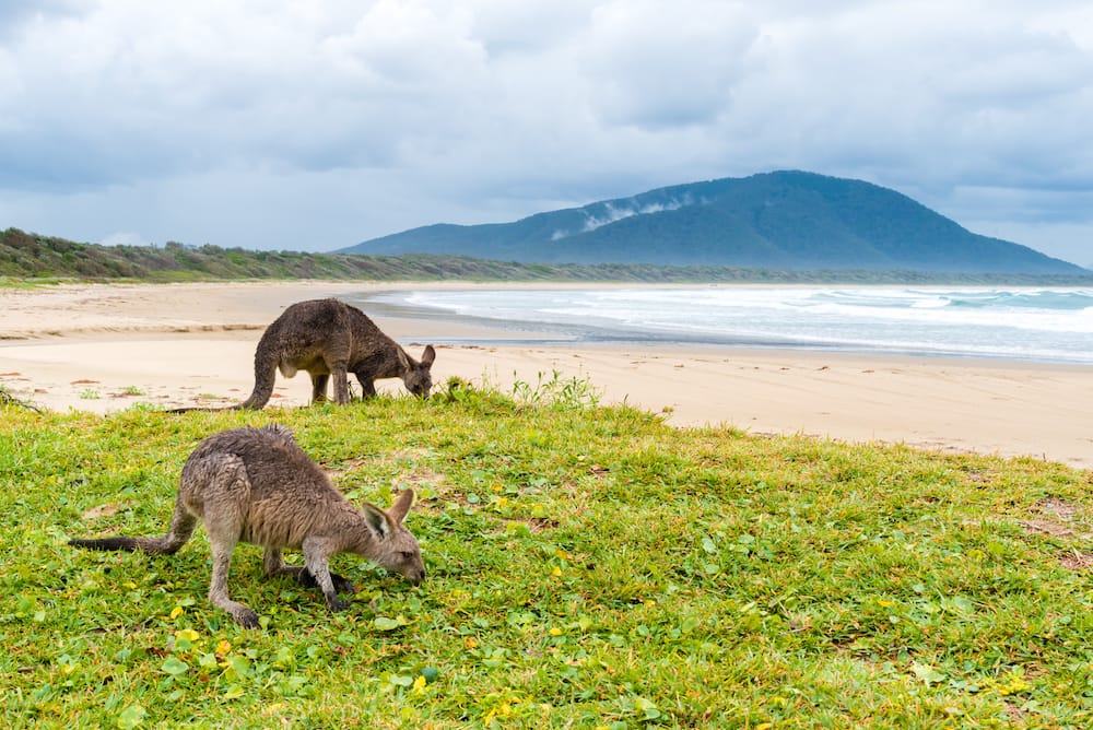 Australien als warmes Reiseziel im April