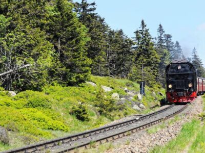 Ausflugsziele im Harz mit Kindern