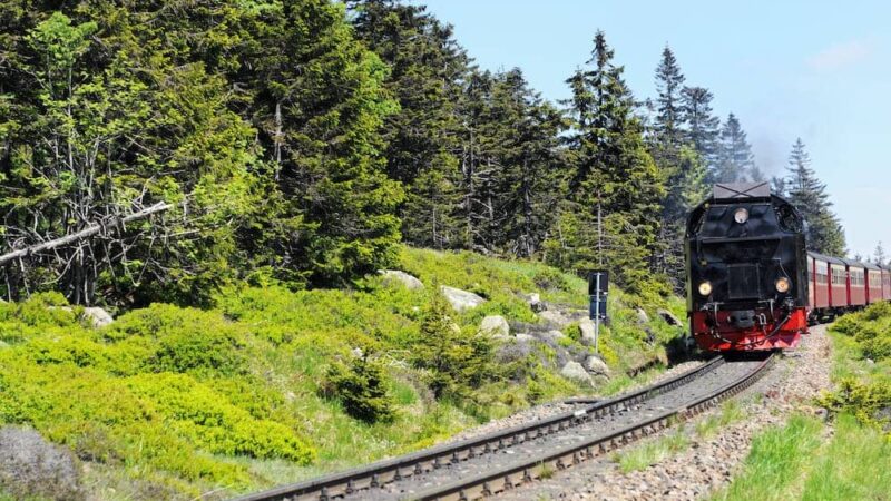 Ausflugsziele im Harz mit Kindern