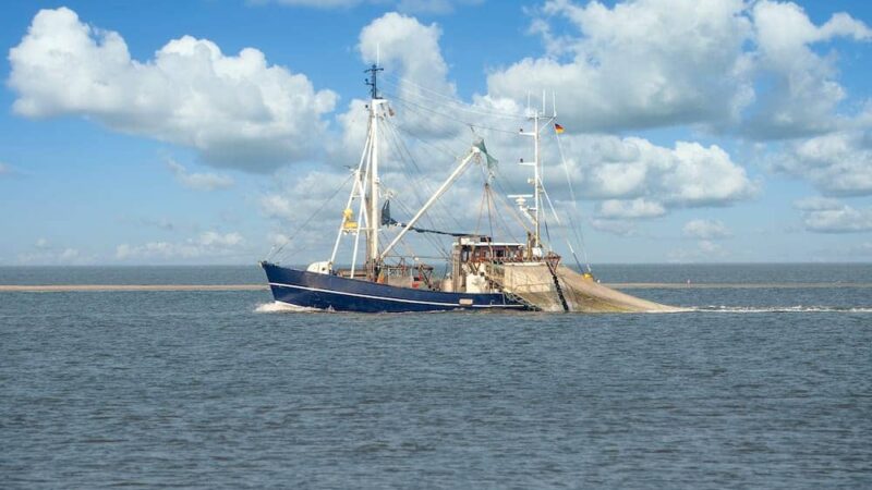 Die schönsten Ausflugsziele an der Nordsee mit Kindern